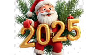 Joyeuses Fêtes de fin d'année